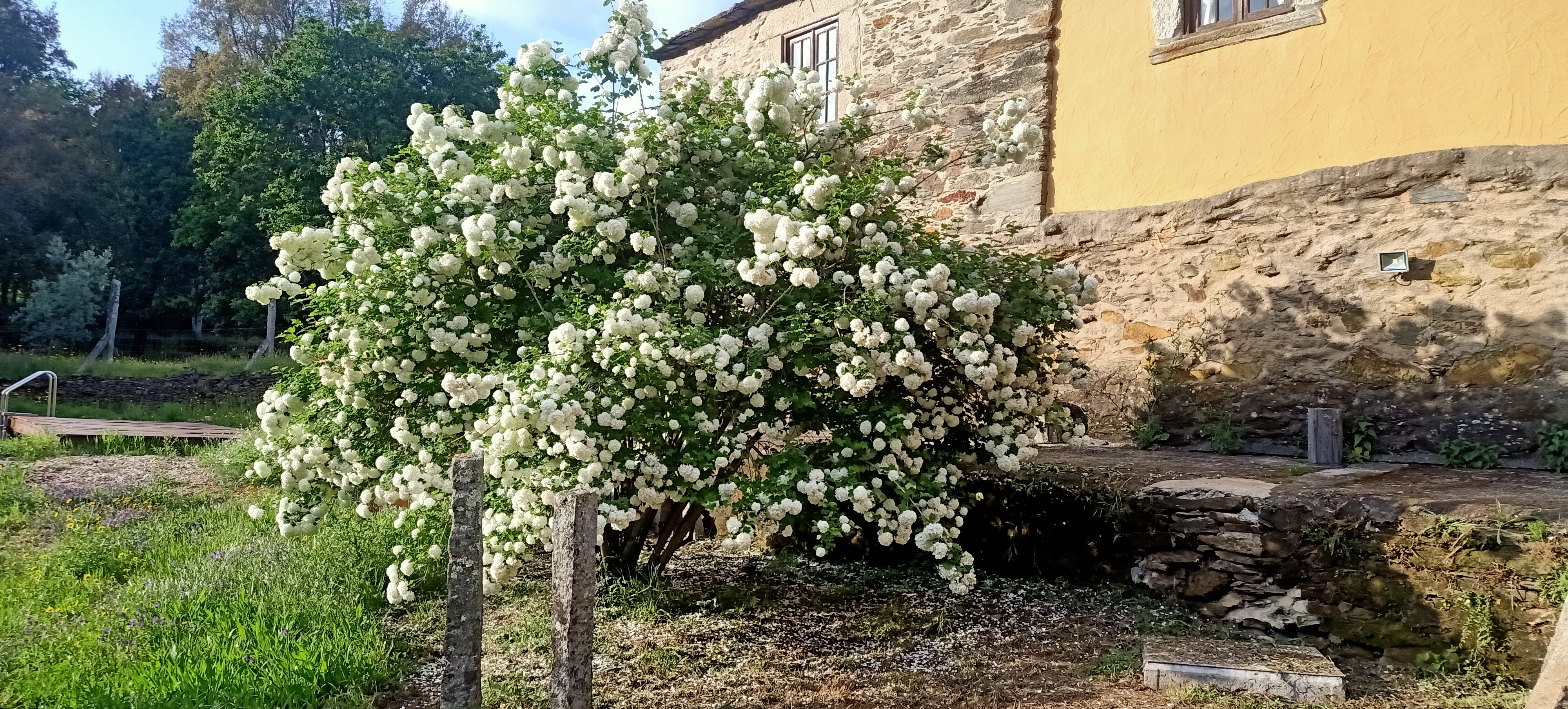Casa da quinta em flor